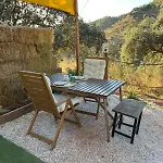 Glamping Burbuja Almendros