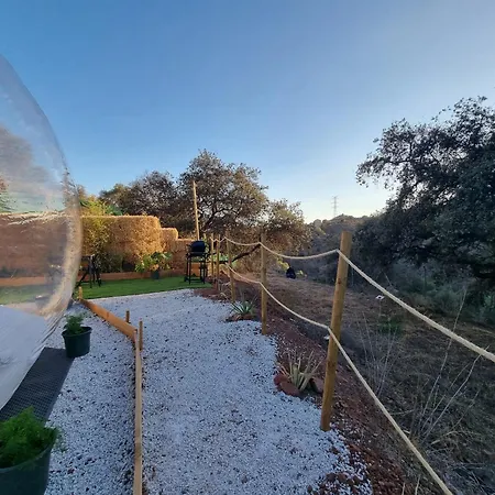 Luxury tent Glamping Burbuja Almendros *