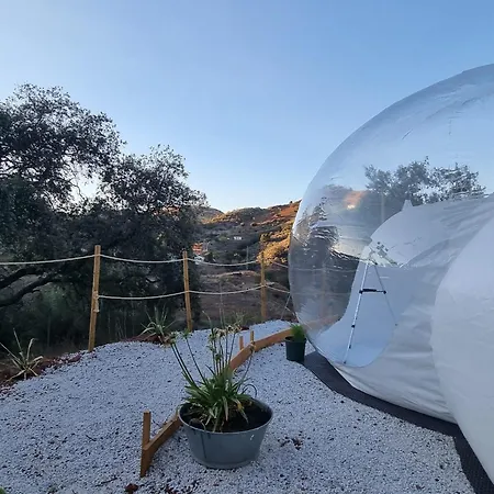 Glamping Burbuja Almendros