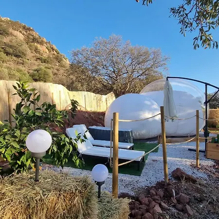 Luxury tent Glamping Burbuja Almendros *