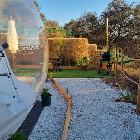 Glamping Burbuja Almendros *