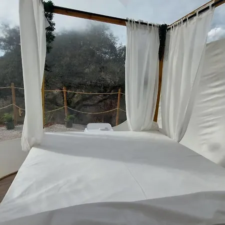 Glamping Burbuja Almendros Malaga