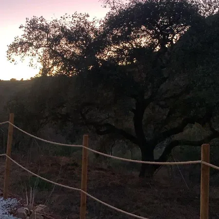 Glamping Burbuja Almendros Luxury tent