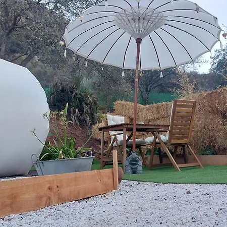Luxury tent Glamping Burbuja Almendros *