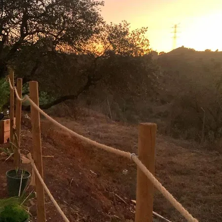 Glamping Burbuja Almendros *