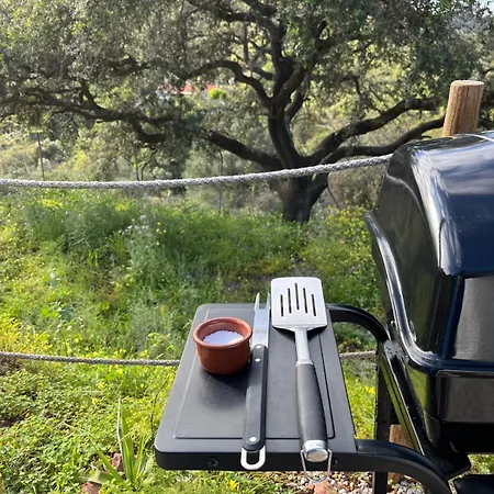 Glamping Burbuja Almendros Malaga