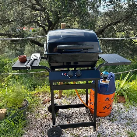 Glamping Burbuja Almendros * 马拉加