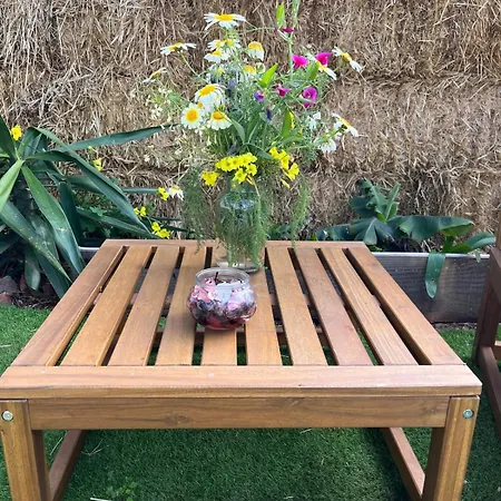 豪华帐篷 Glamping Burbuja Almendros *