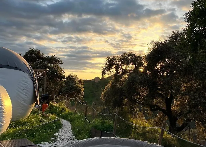 Οργανωμένο κάμπινγκ Glamping Burbuja Almendros Μάλαγα
